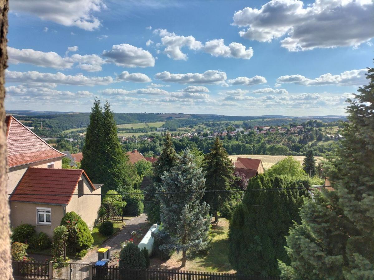 Fewo Zur Alten Drechslerei Freital Exteriör bild